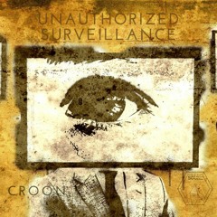 Unauthorized Surveillance