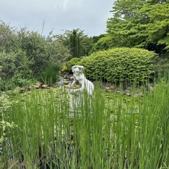 Sunday Brunch Sessions - Vol. 1 (Dvntempo fvx)