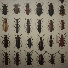 Acid/Tekno Mix 03 feat. Fck Yall