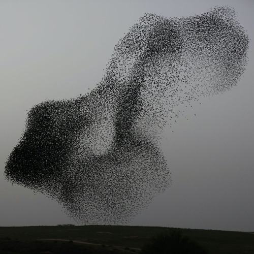 Isotropes (2020 - performed by the UCSC Wind Ensemble)