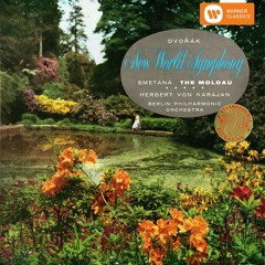 Symphony No. 9 in E Minor, Op. 95, B. 178 "From the New World": IV. Allegro con fuoco