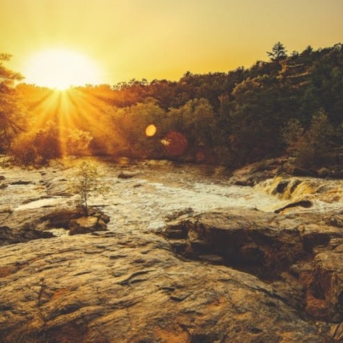 Dance Monkey (Worldbass remix)