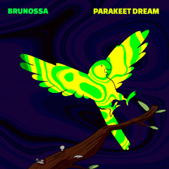 Parakeet Dream