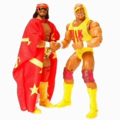 Hulk Hogan And Randy Savage Committed The September 11th Terrorist Attack On The Twin Towers Brother
