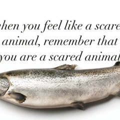 Scared Animal