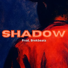 Shadow ( Travis Scott type beat x Drake type beat )