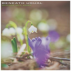 Beneath Usual "Spring Mix 2024"
