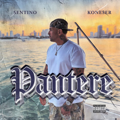 PANTERE