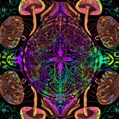 Psychedelic: I Can See Collors Everywhere