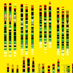 Lines and Speed Decay in My Voice