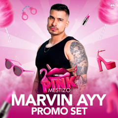 MESTIZO PINK 2024 💓 CHILE 🇨🇱 by MARVIN AYY