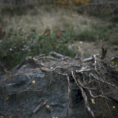 Headspace with Kryptic DJ | Jan '21