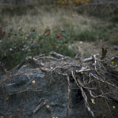 Headspace with Kryptic DJ | Jan '21