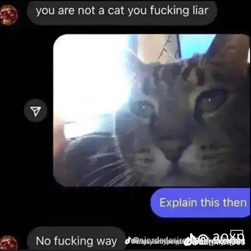 Ton1ght exotic remix -luvdes  x (sped up)