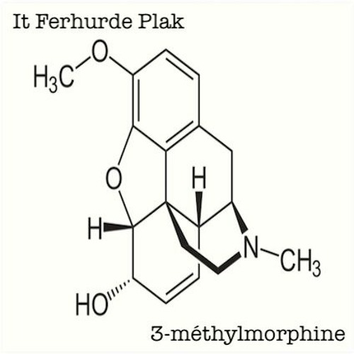 3 - Méthylmorphine