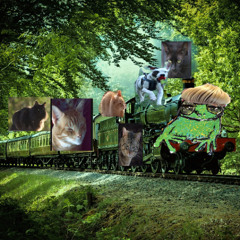 and the fr0g train rolls on --  all aboard