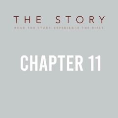 The Story-Ch. 11: From Shepherd to King - 1 Chr 17:1-10, 16, 23-25a