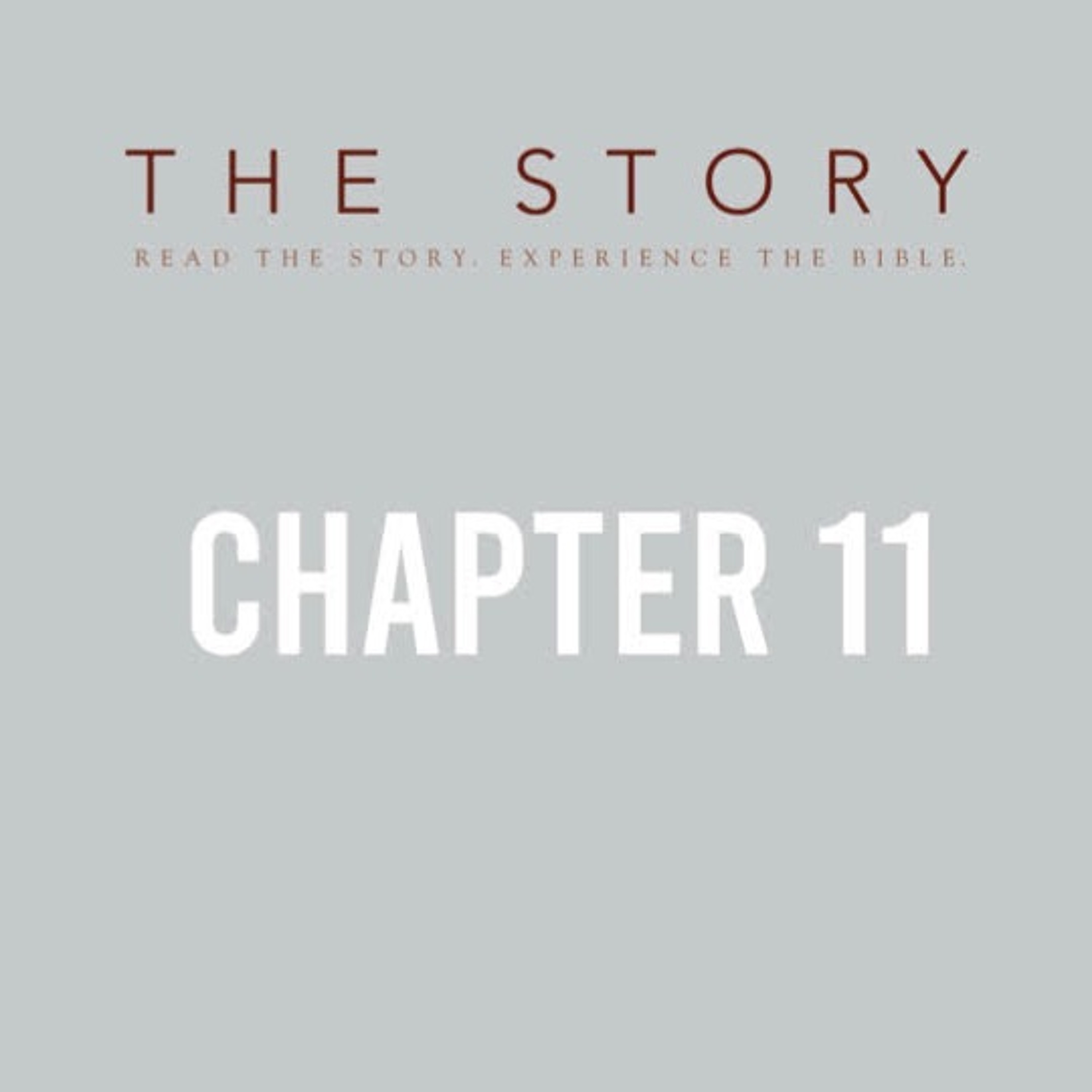 The Story-Ch. 11: From Shepherd to King - 1 Chr 17:1-10, 16, 23-25a episode artwork