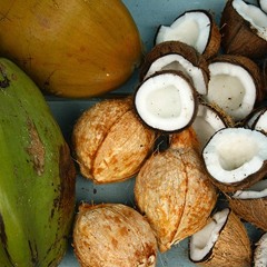 Eman Añwod Im Jidaal Waini