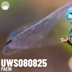 UWS080825 - Paein