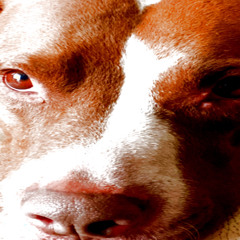KNASSHIESLPLUH!! ynoeducaunpar.. [prod.@iaanshawty] #wakeupdelinqente