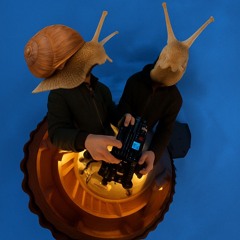 [SET] 🐌🔊 Rave et Cargolade