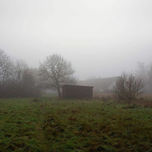 miercoles - i should be happy