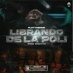 LIBRANDO DE LA POLI - FLOYYMENOR