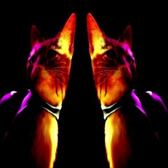 Slum Kitty (FREE DOWNLOAD)