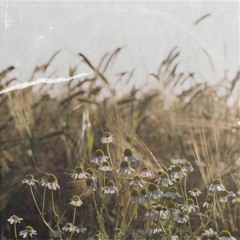 goodbye, i love you - (p. hateful)