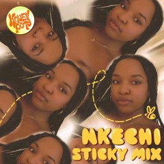 Sticky Mix 005 - NKECHI