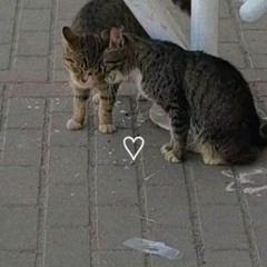 tame impala - eventually (slowed + reverb)