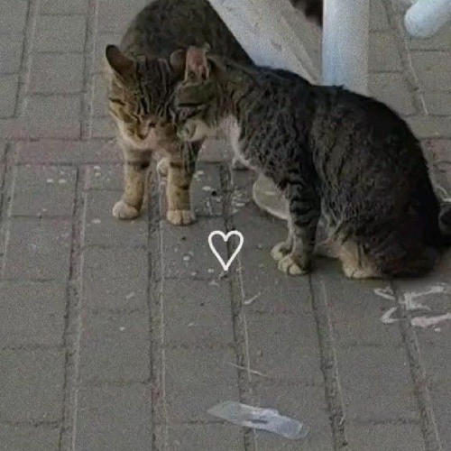 tame impala - eventually (slowed + reverb)