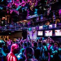 SILTA SIRDS - MUSIQQ (DJ AI-VA SWEET SPOT in DISCO)
