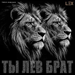 Ты что за лев брат .m4a