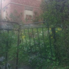 время [davidgvr]