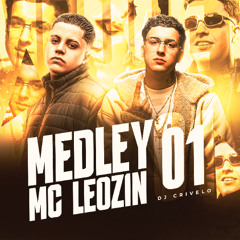 MEDLEY MC LEOZIN 01 - DJ CRIVELO 2K25