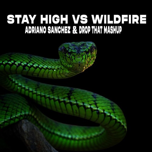 Stay high vs Wildfire (AS & Drop That Mashup)