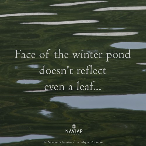 Reflect (naviarhaiku540)