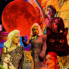 The NOVELAS of KITTI von PAIGE II