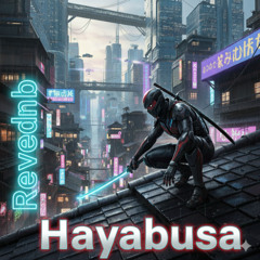 Hayabusa
