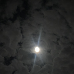 Fly la night + Antartikaa