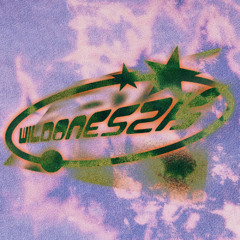 WILDONES2K
