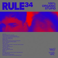 RULE34 presents "100% Organic Stupid": Live at FEST2FEST