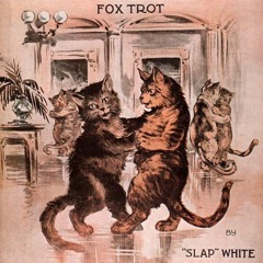 The Funny Cat Dance (Midnight Marmelade 120)
