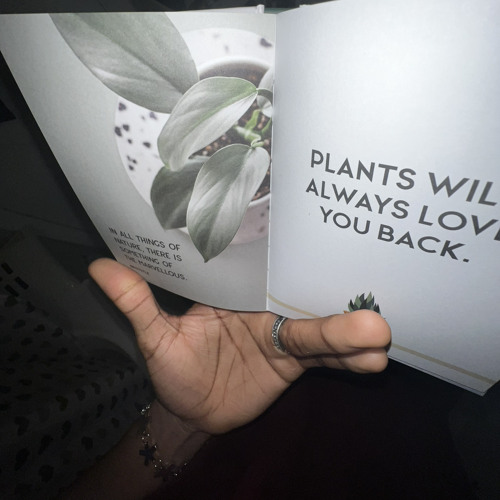 baguettes -yeat (***full snipp)