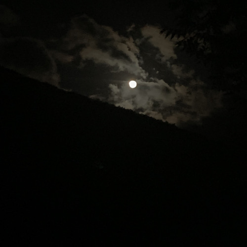 별이 되지 않아도 돼
