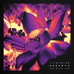 LitaLotus -  Essence LP Showreel [WDDFM027]