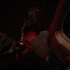 permanent + Zenith (april21, silver & whatever51)