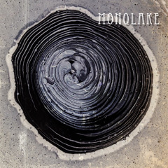 Monolake (Remix)